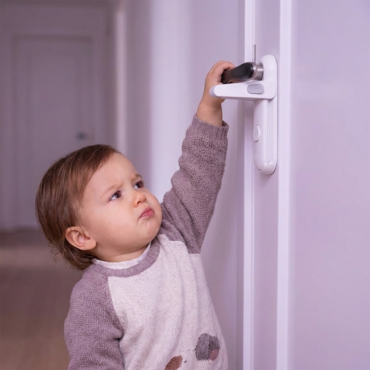 Lockzi Door Lock